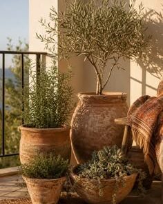 Planters