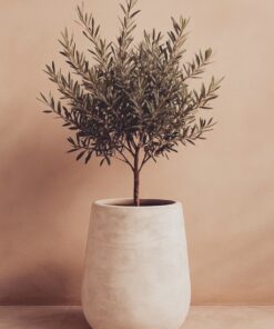 Olive Grove Planter
